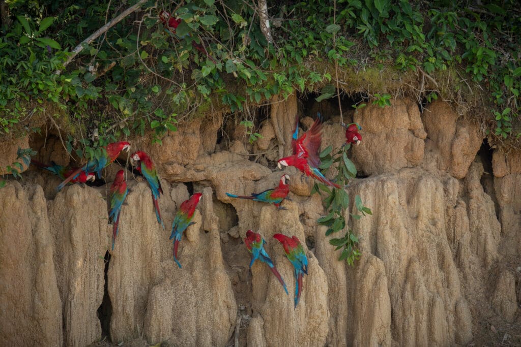 Amazônia e Biodiversidade nos melhores destinos.